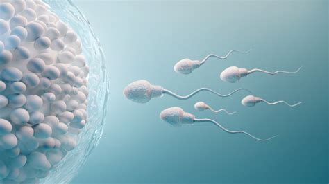 omega 3 sperm